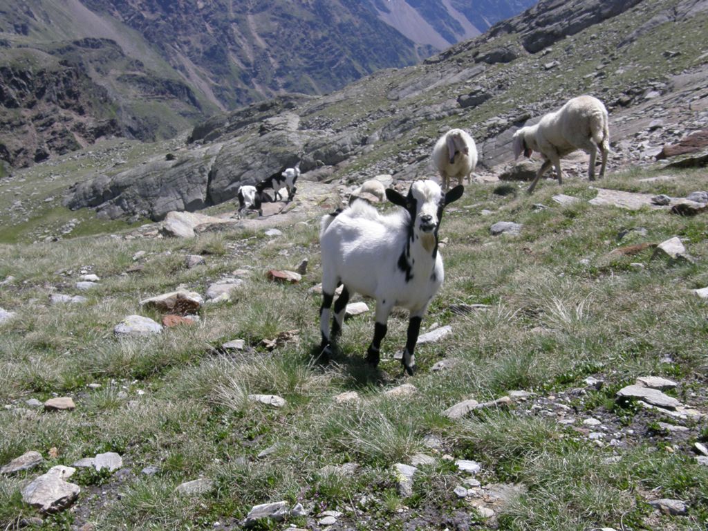 Itinerari per tutti (o quasi): Cima di Caione